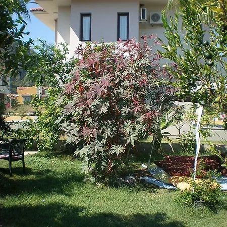 Otel Jade